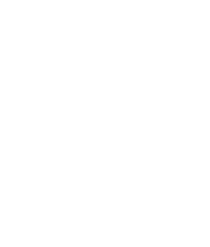 nfa2p